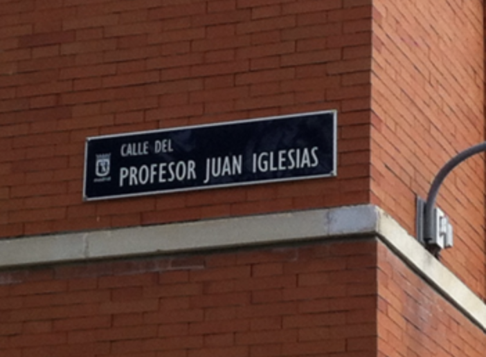 Professor Juan Iglesias Street in Madrid